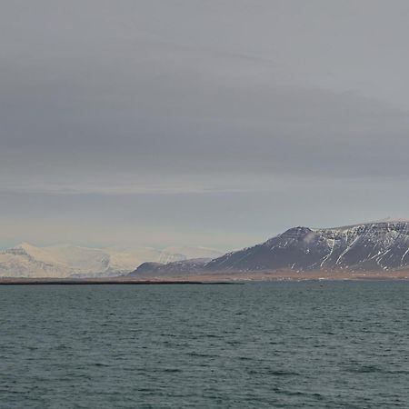 Floki'S Apartment Downtown. Reykjavik Bagian luar foto