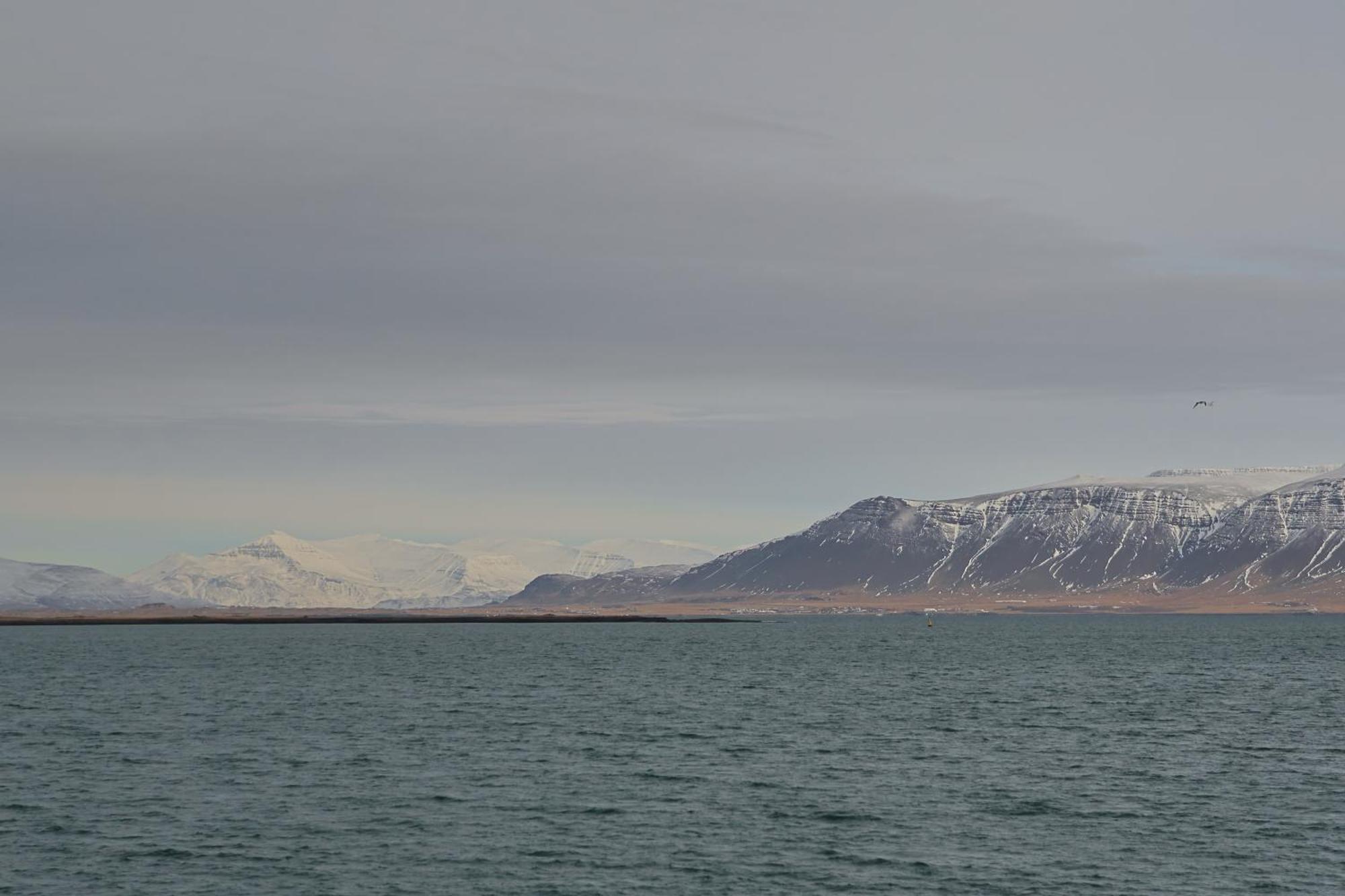 Floki'S Apartment Downtown. Reykjavik Bagian luar foto